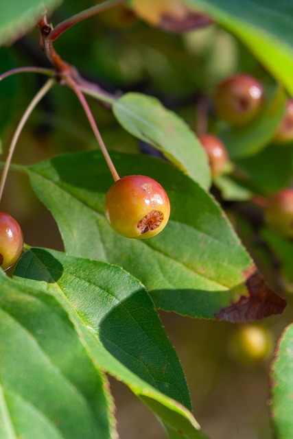 即便是顶尖 即便是顶尖