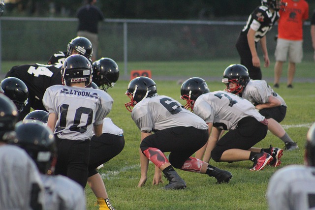 长远眼光 长远眼光