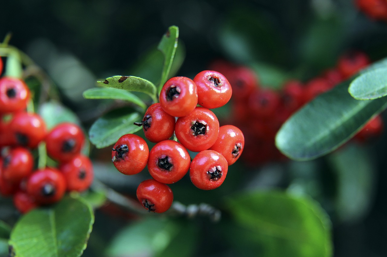 这一事件是 这一事件是