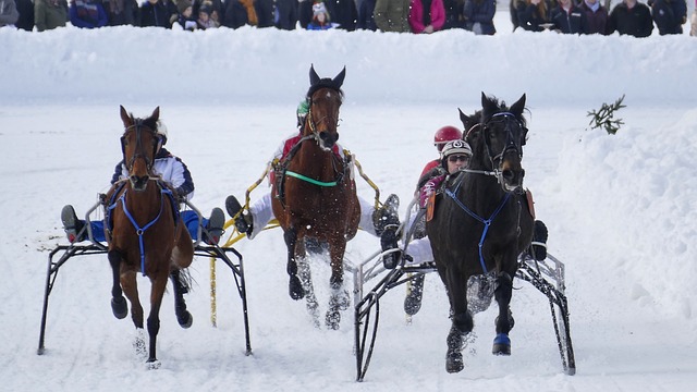 一些地区已 一些地区已