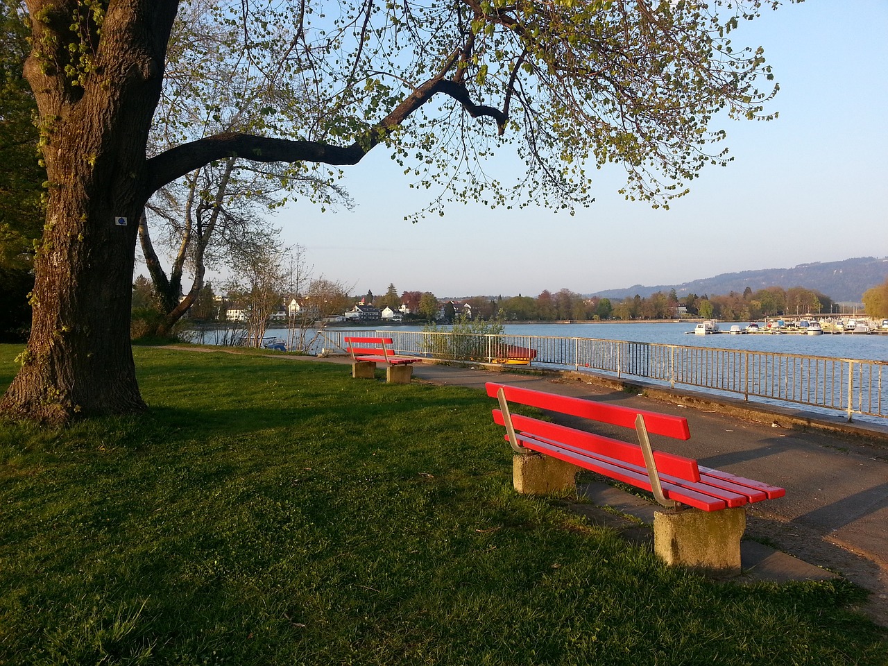 教練的信任 教練的信任