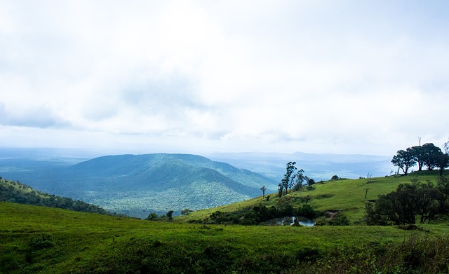 中国篮协阜 中国篮协阜