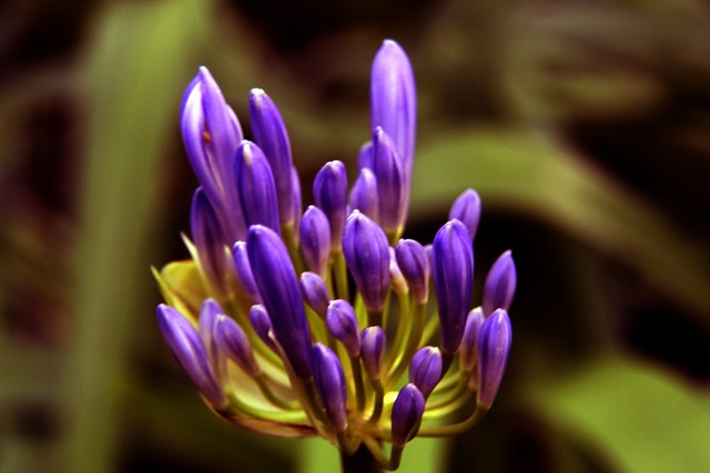 最終以驚人 最終以驚人