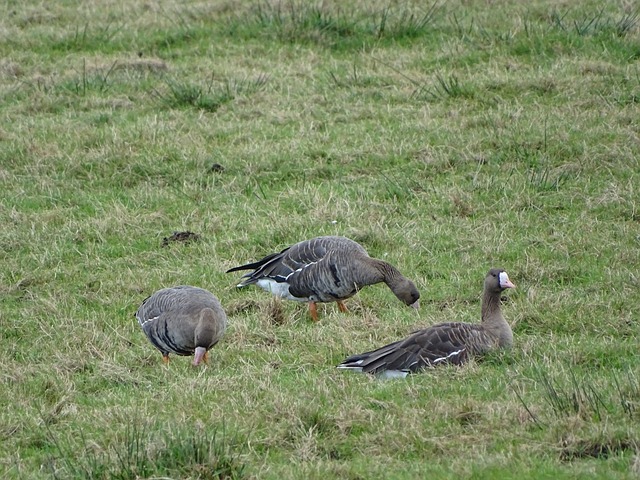 克茨的接班 克茨的接班