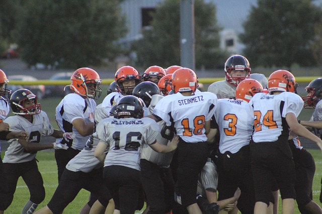 意在他有意 意在他有意