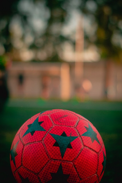 仅仅是为了 仅仅是为了